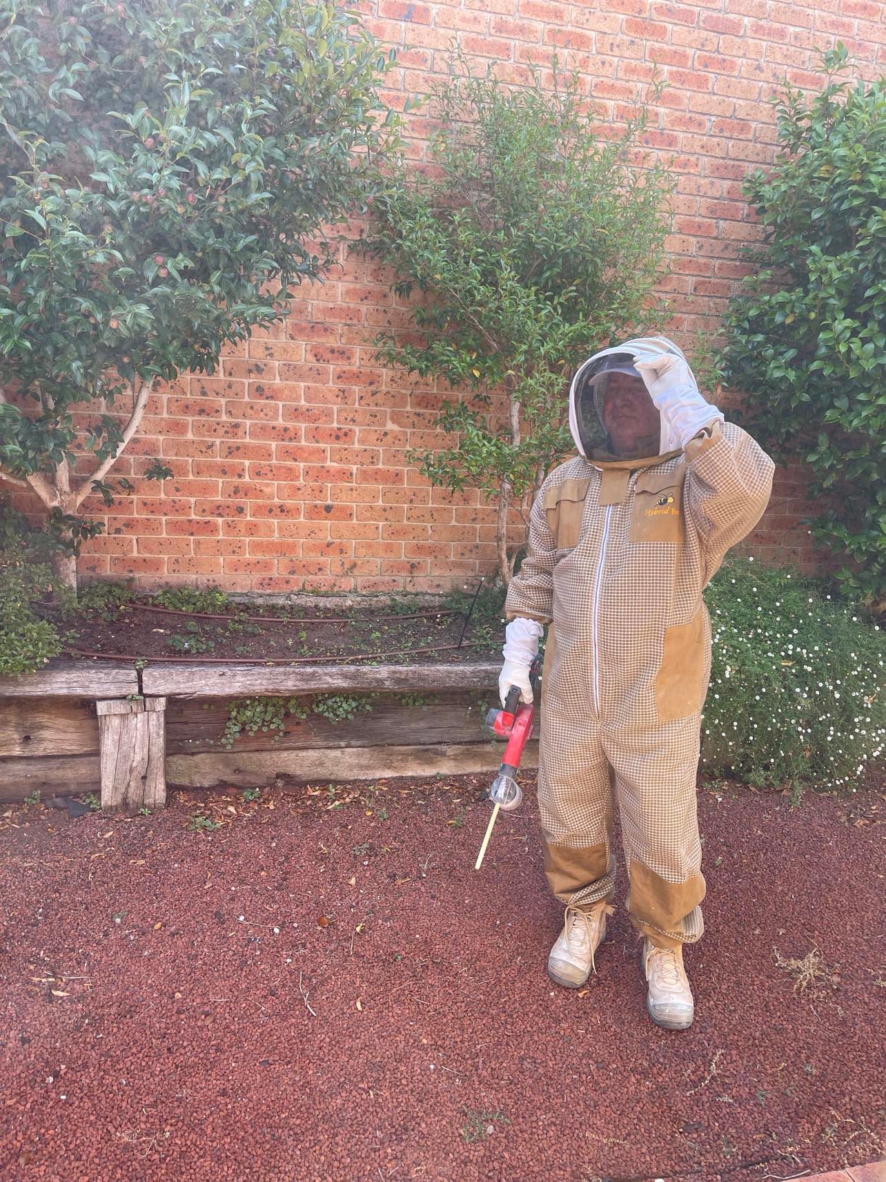 A1 Pest Control Canberra business image in Phillip, Australian Capital Territory
